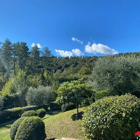 Podere Casanuova - Caesius Pool & View Appartamento *