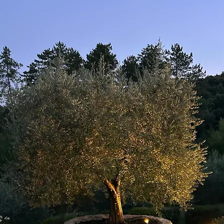 Podere Casanuova - Caesius Pool & View *