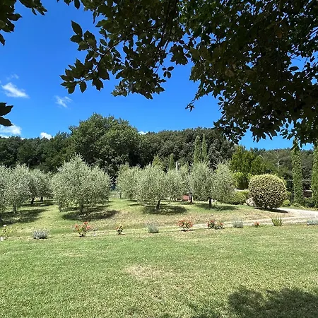 Podere Casanuova - Caesius Pool & View *